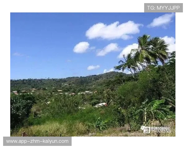 格林纳达冲浪运动持续升温，格林纳达官网