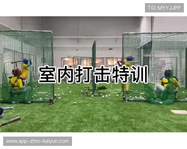 棒球培训课程加入科学康复知识减少伤病发生,棒球培训前景 棒球培训课程加入科学康复知识减少伤病发生,棒球培训前景