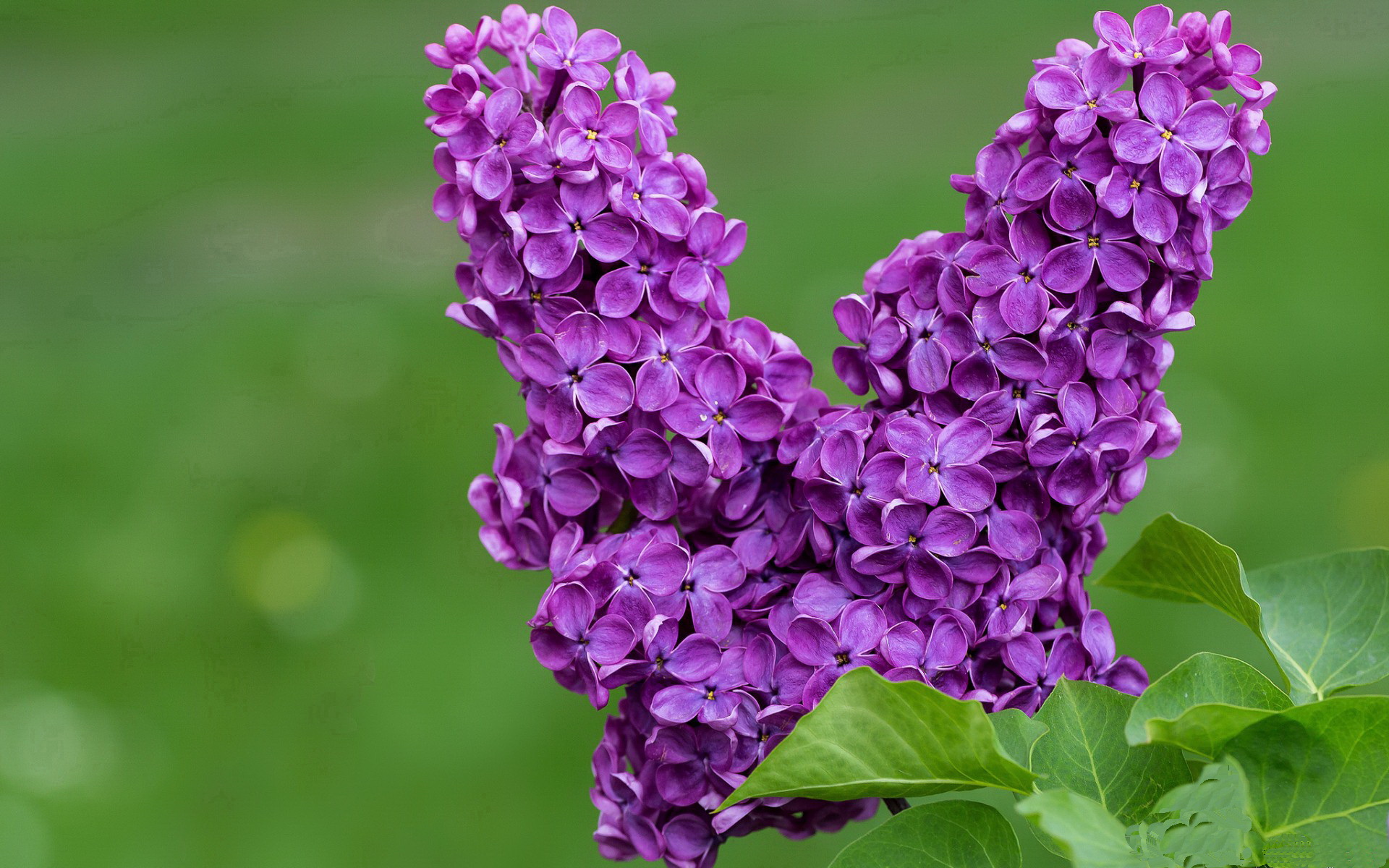 高校体育课程质量控制体系研究,高校体育课程设置