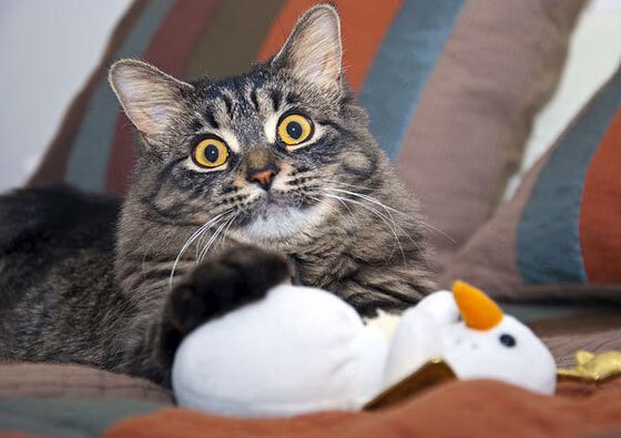 掘金训练课引入移动投影辅助跑位判断