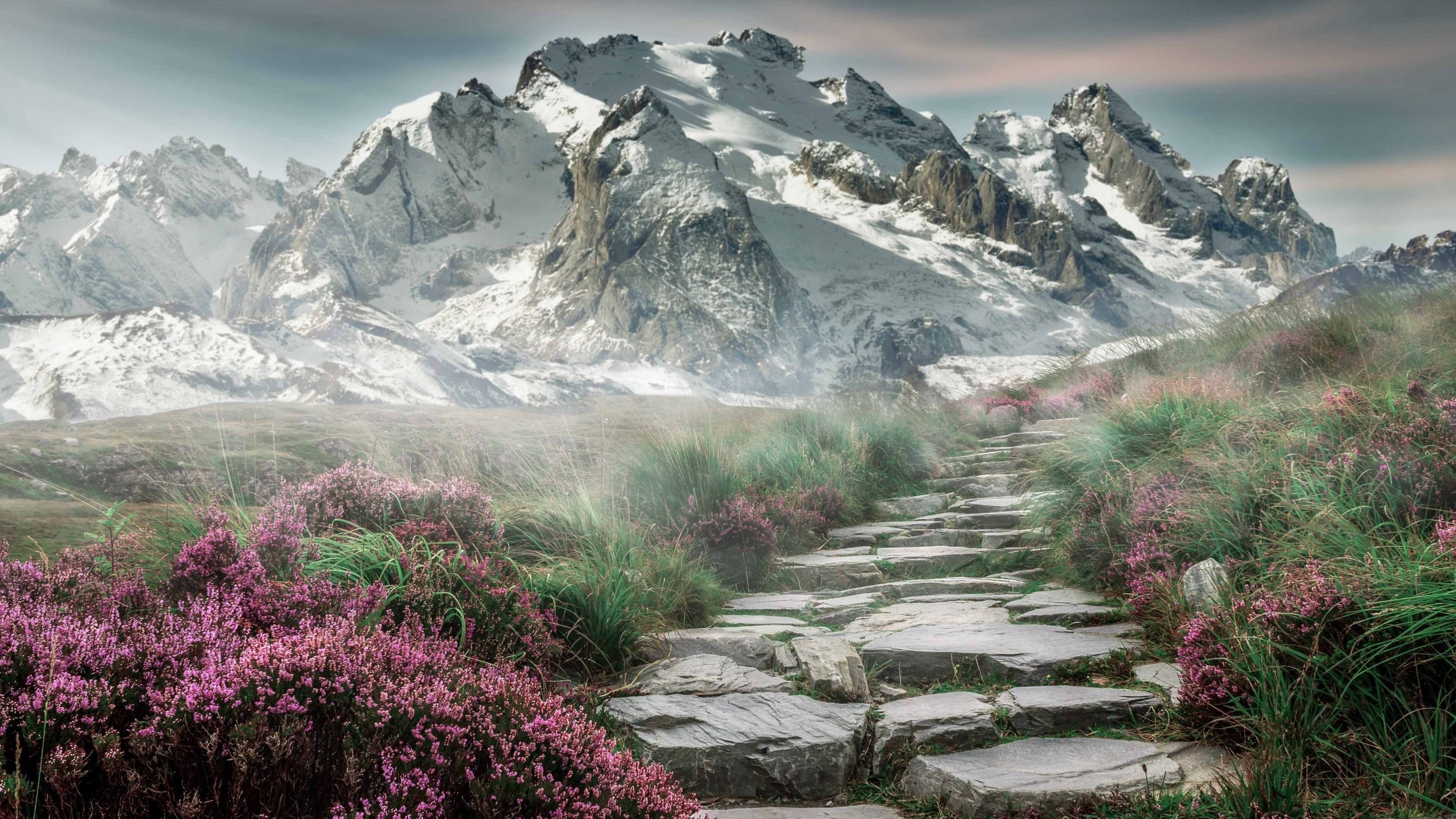 蛙泳比拼奥地利游出新高峰,蛙泳奥运会比赛项目