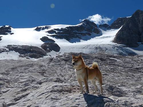 西甲高潮迭起：超级巨星演绎巅峰战役，西甲经典比赛