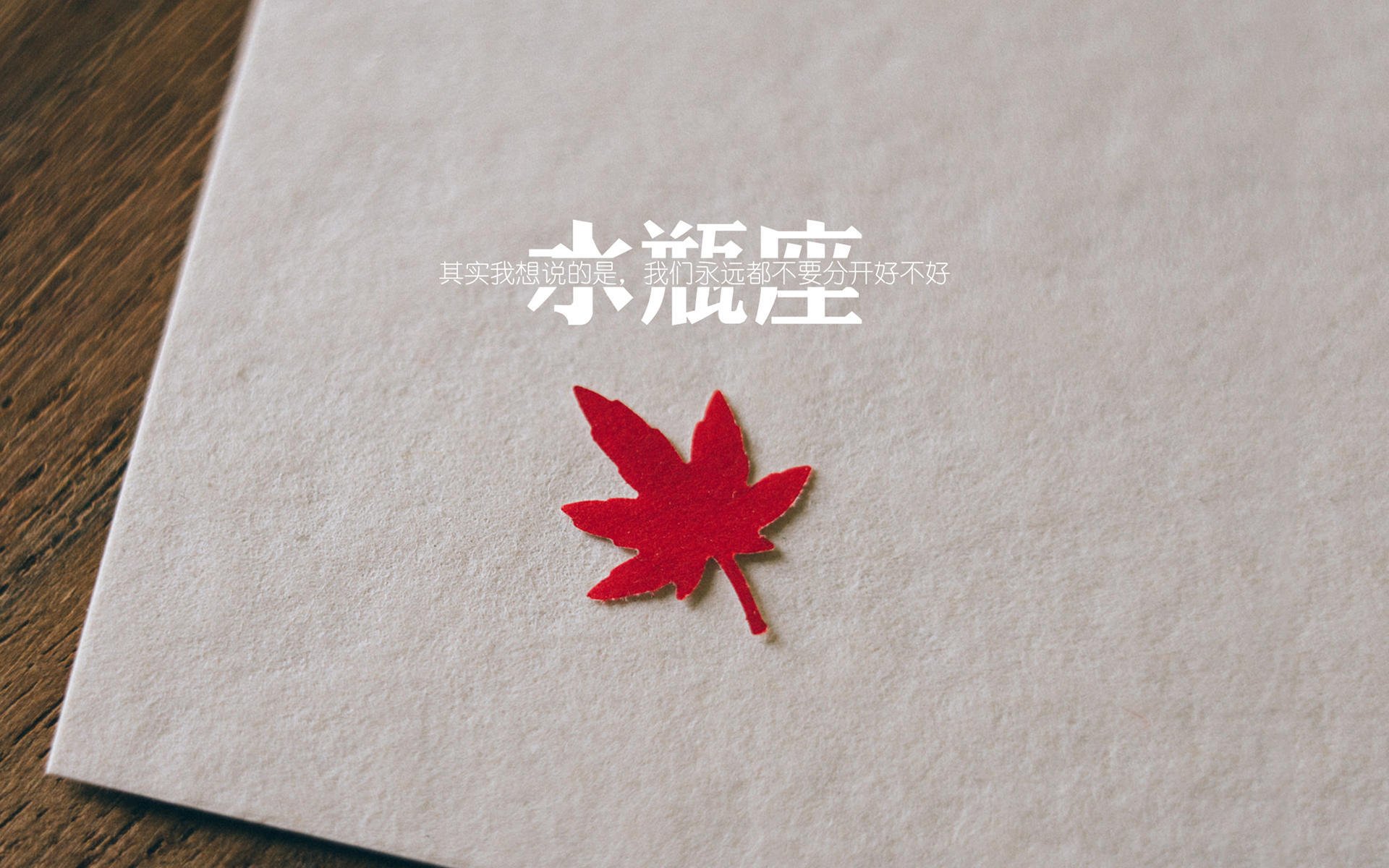 青训中心推广技术测试营标准化选拔优质苗子，青训师认证训练营