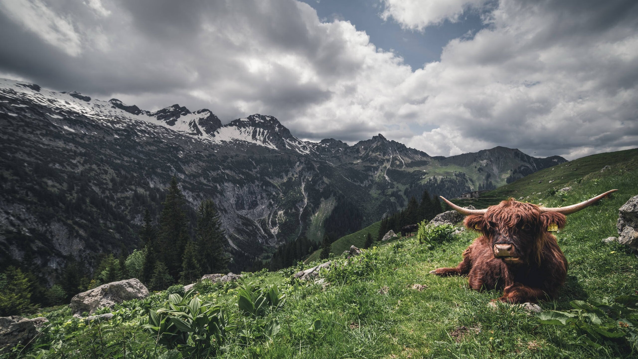 开云体育在线官网-体育新闻中心搭建城市健身活动动态发布平台，体育新闻专题报道