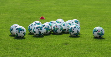 kaiyun开云体育-勒沃库森难敌低谷，法兰克福再进步可期？，德国杯勒沃库森vs法兰克福